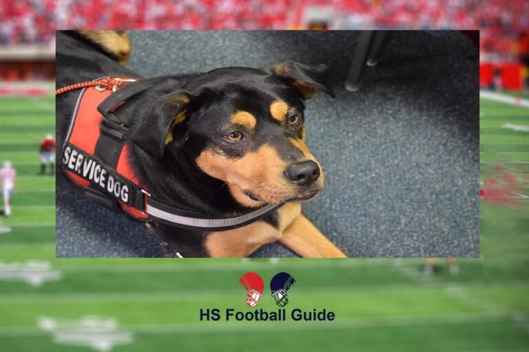 Are Dogs Permitted at High School Football Games?